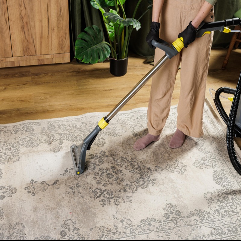 home carpet cleaner